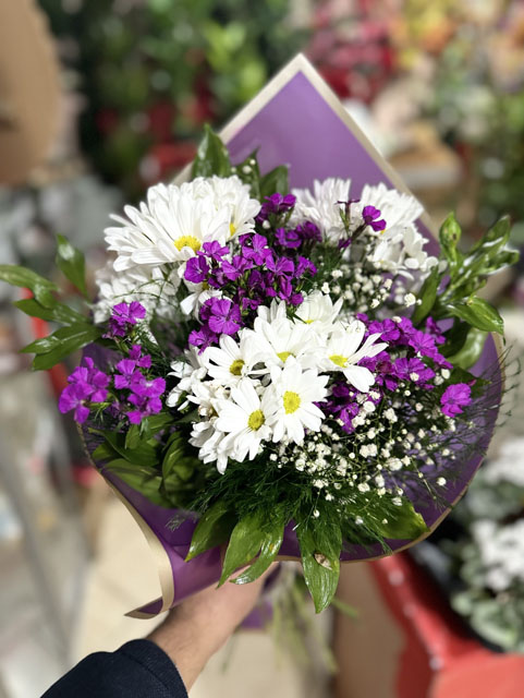 Papatya ve Hüsnü Yusuf Karışık